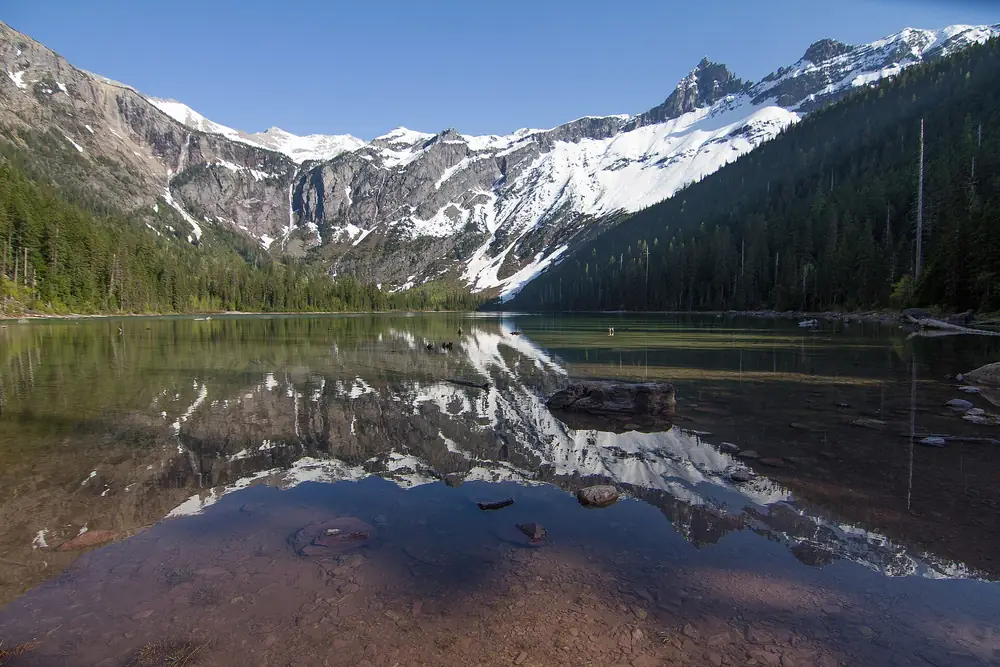 Avalanche Lake in Glacier National Park with the headwall reflected in still water