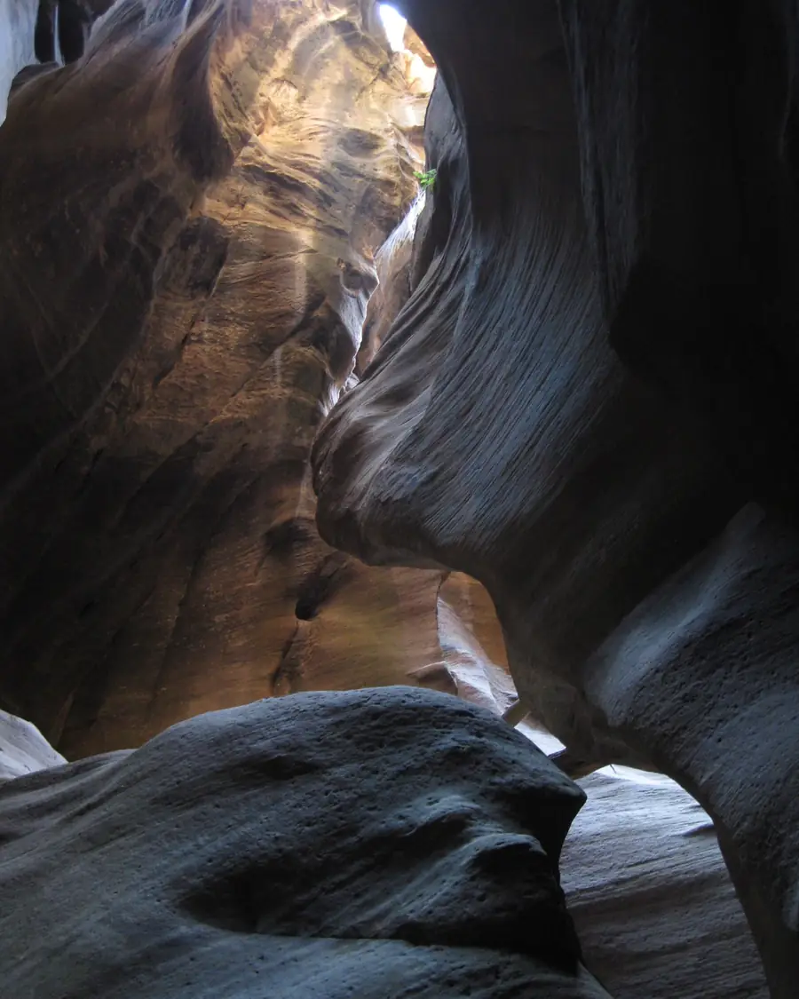 Light bouncing through the sculpted walls of The Subway in Zion